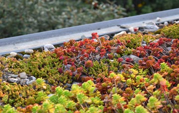 the cost of Timberscombe green roof installation