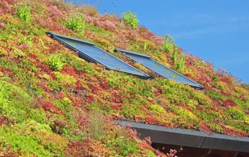 Timberscombe living roof systems
